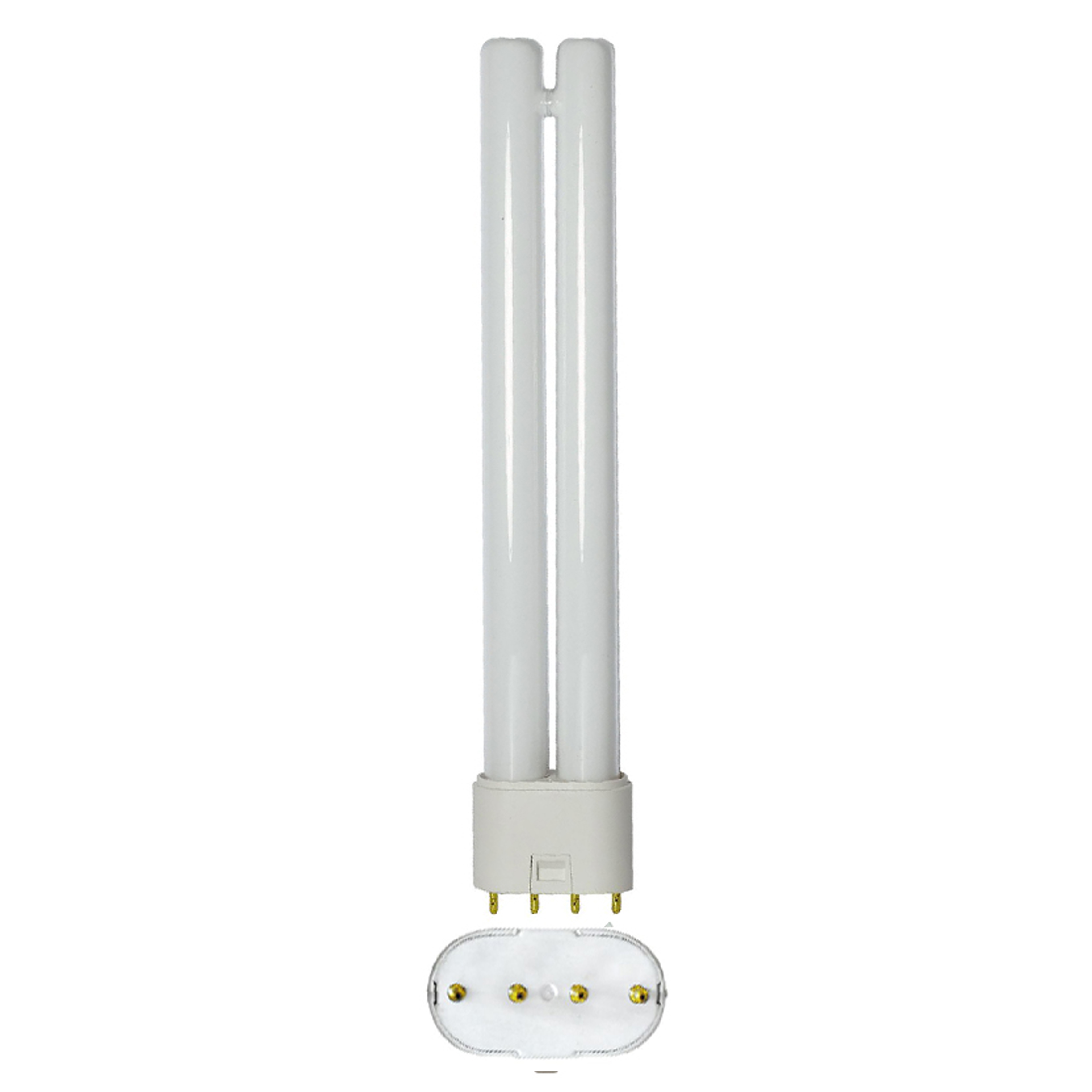 Produit — Ampoule FLC 6400K 55W 2G11