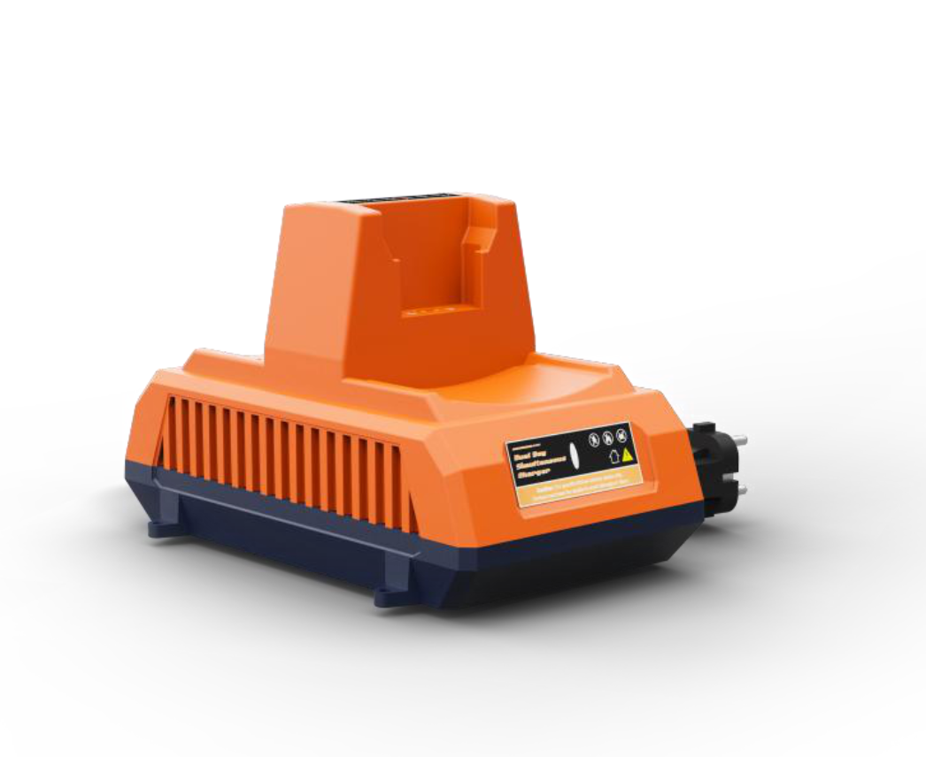 Chargeur Double pour batterie Lithium
