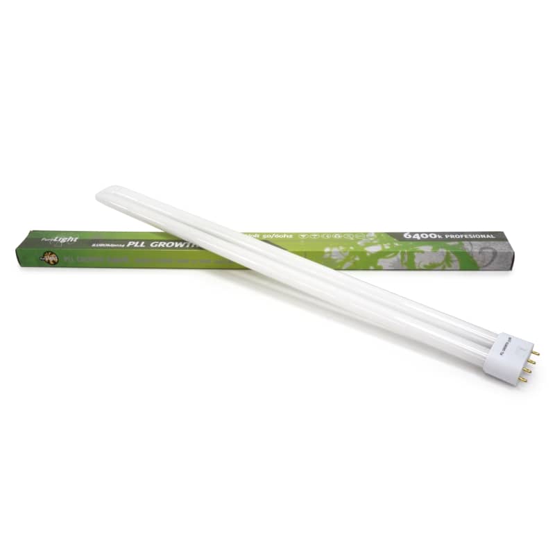 Produit — Ampoule FLC 6400K 55W 2G11