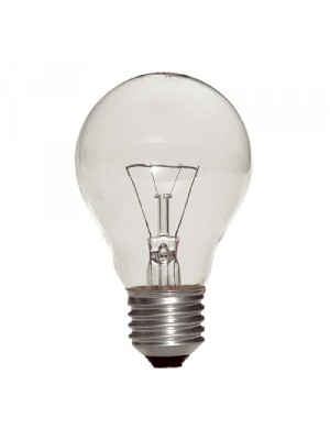 Produit — Ampoule Incand. Four 300° Std claire 25W E27